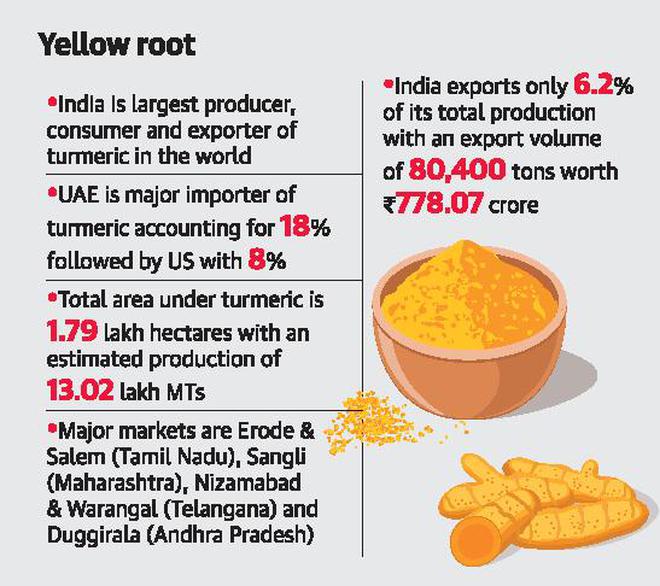 TS to set up special turmeric cell
