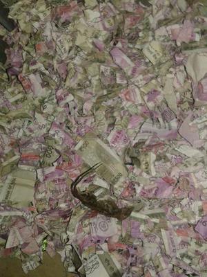 Currency notes worth over Rs. 12 lakh were found destroyed in the ATM kiosk.
