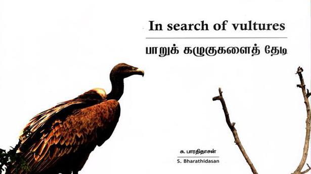 ‘In Search of Vultures’ review: Nursing ‘sanitary workers’ of nature back to health
