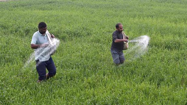 Government enhances DAP fertiliser subsidy