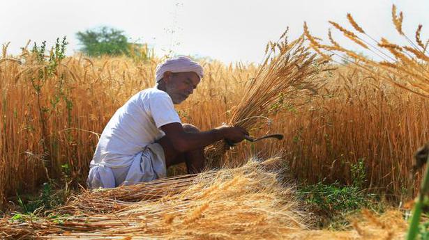 Crop insurance claims at ₹9,570 crore for 2020-21 lower by over 60% from previous year