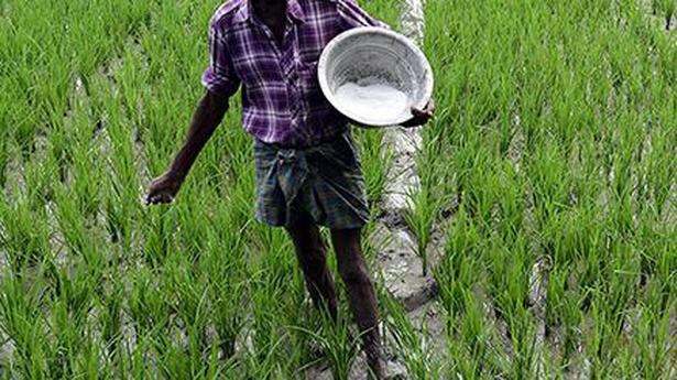 Fertilizer subsidy to cost 62% more on input costs: Crisil