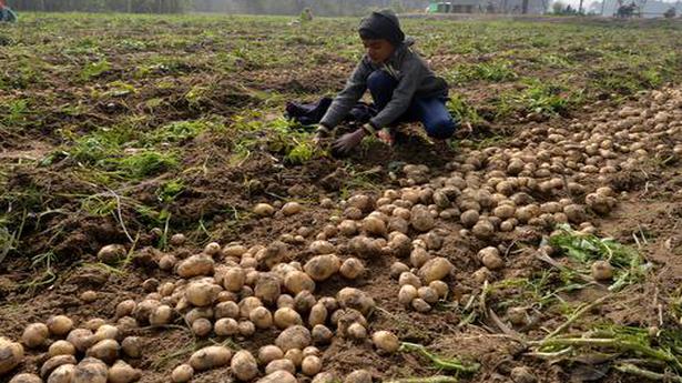 Potato imports from Bhutan allowed again