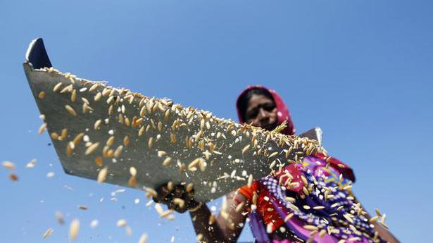 India rice rates remain at 3-year peak on strong export demand