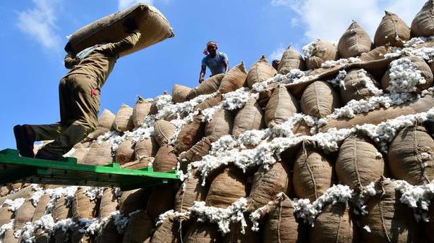 Cotton exports may touch 70 lakh bales