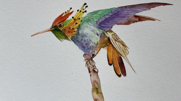 Art of healing and hummingbirds