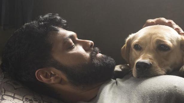 Kannada film 777 Charlie traces the bond between a man and his dog
