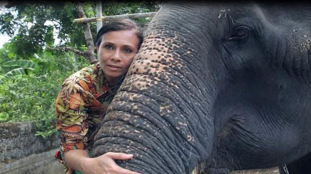 Elephant conservationist Sangita Iyer’s 26-part docu-series ‘Asian Elephants 101’ will be telecast on Nat Geo India on August 12, World Elephant Day