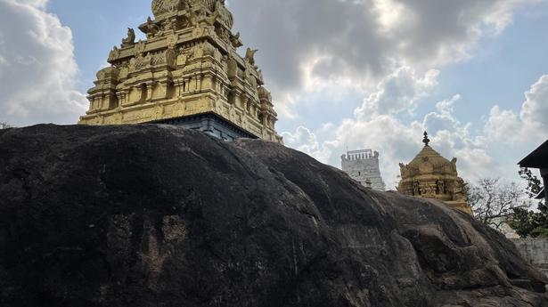 Singaperumal Koil: A temple carved out of a hillock