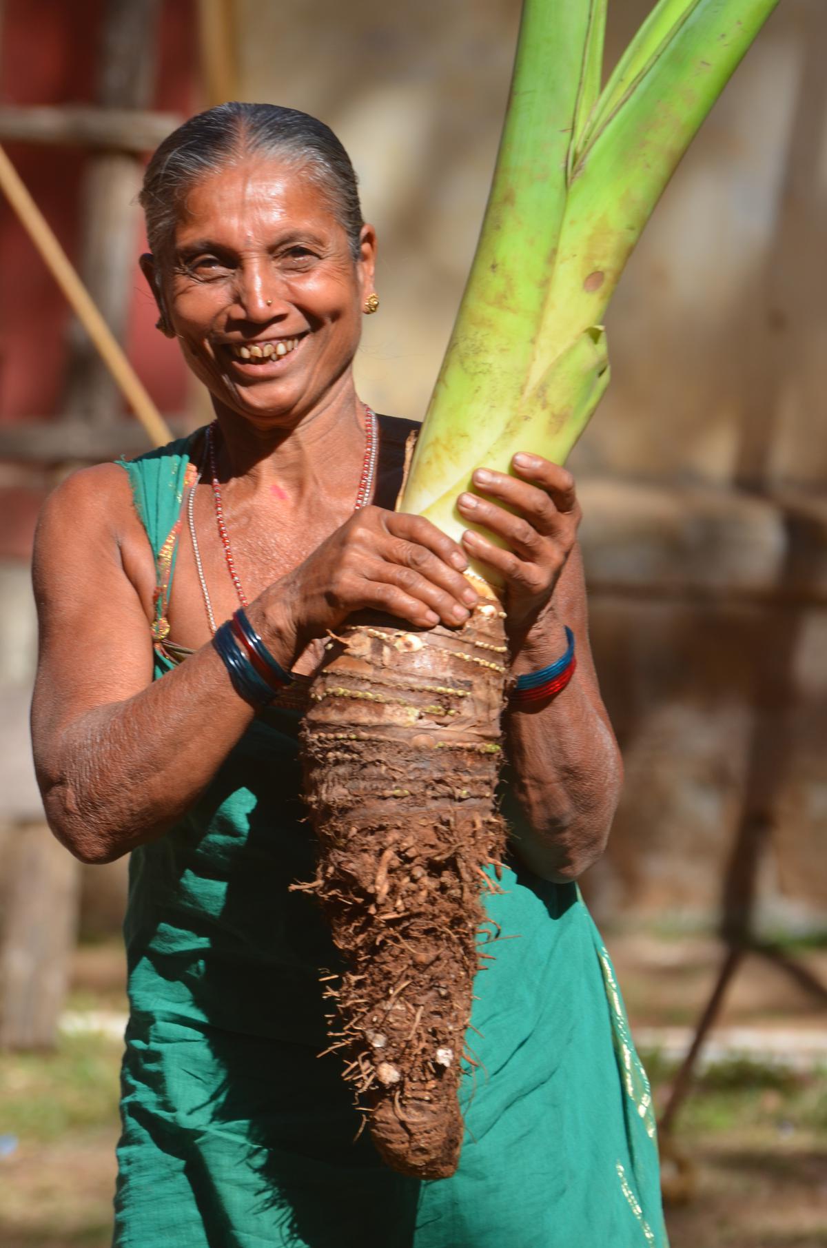 Roots and Tubers festival organised by ASHA in chennai on april 9 and 10, 2022