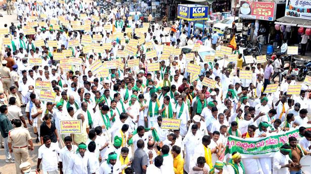 Andhra Pradesh: TDP takes up cudgels for distressed paddy growers in Nellore