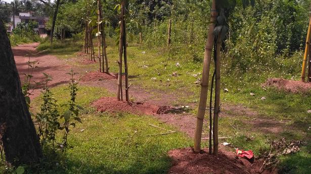 Forest Department to develop fruit-bearing orchards in Dakshina Kannada