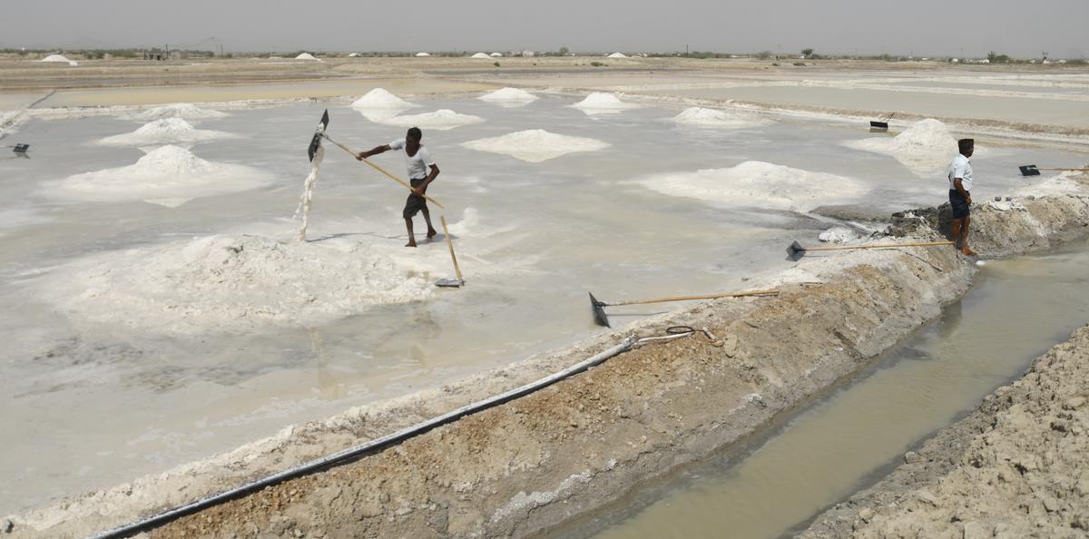 Braving the heat, people work at a salt pan in Gopalpura. 