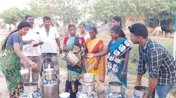 Milk warms the hearths of this Tiruchi village