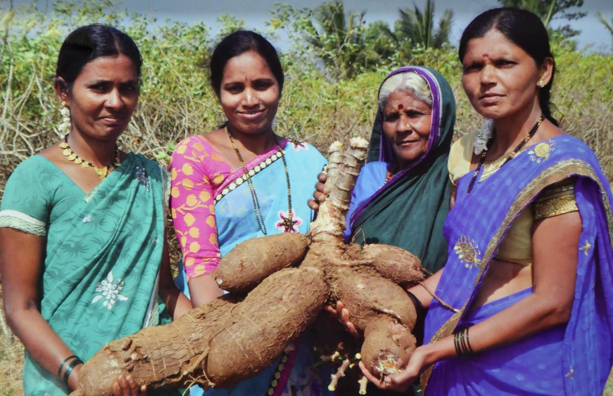 Farmers in North Karnataka with the tubers they harvested