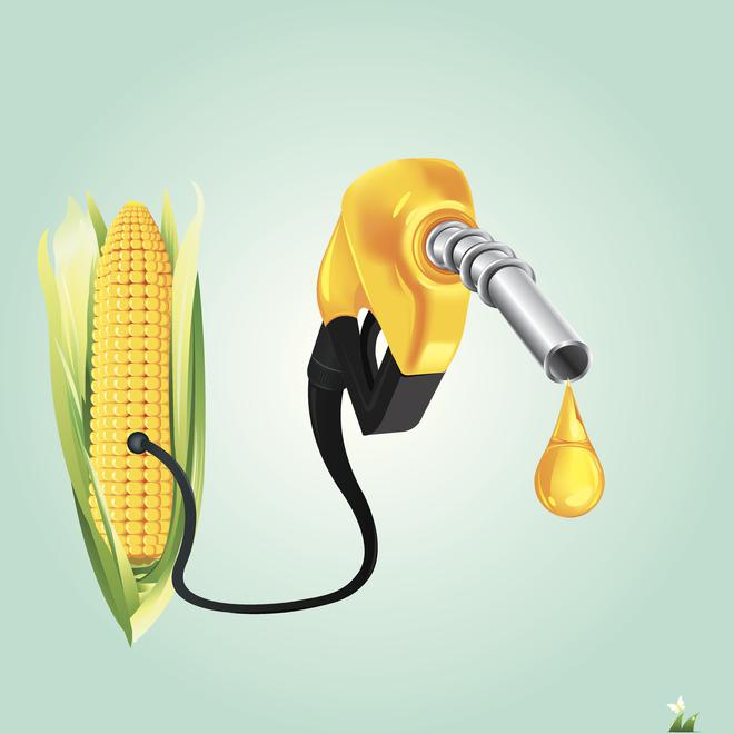 
Understanding India’s ethanol blending policy
