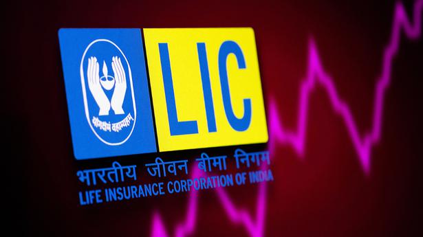 Explained | What must LIC IPO investors keep an eye on?