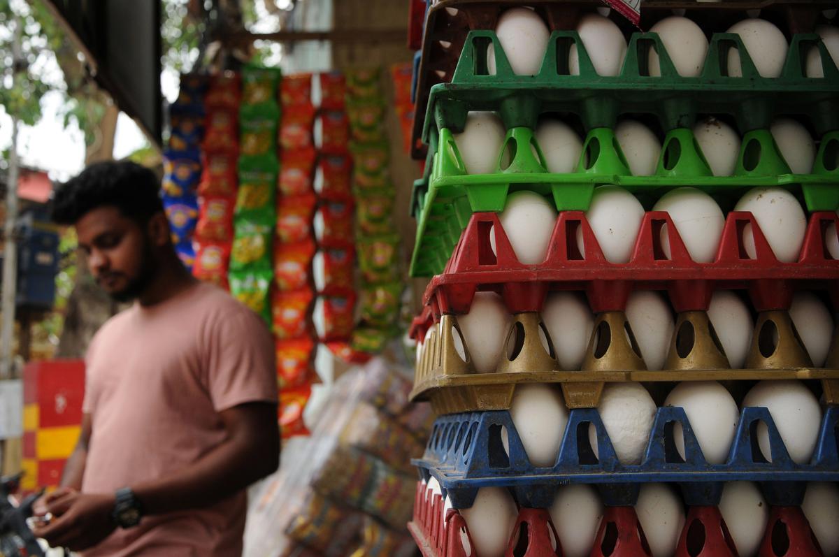 Eggs are priced at ₹4.7 apiece in Hyderabad, as compared to ₹3.2 apiece till a week ago.