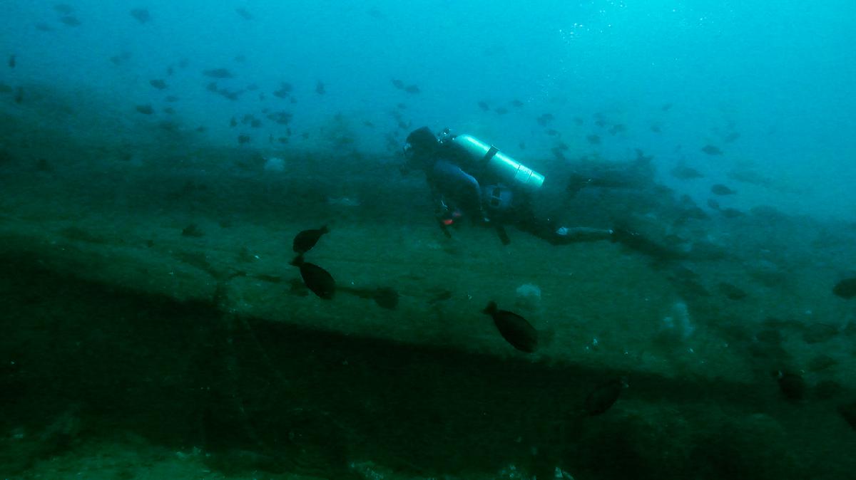 A still from the short film 'Varkala and the Mystery of the Dutch Wreck'