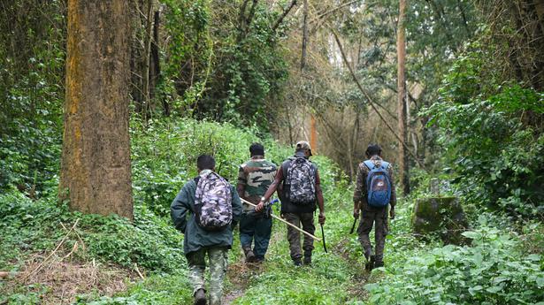 Lack of forest guards and watchers in Gudalur hampers wildlife protection efforts