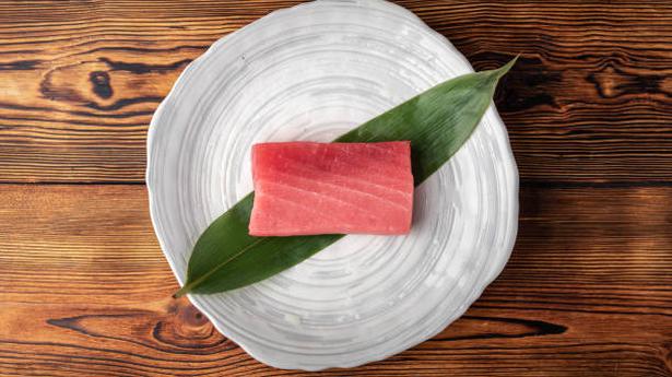 Fishermen focus on landing sashimi quality tuna