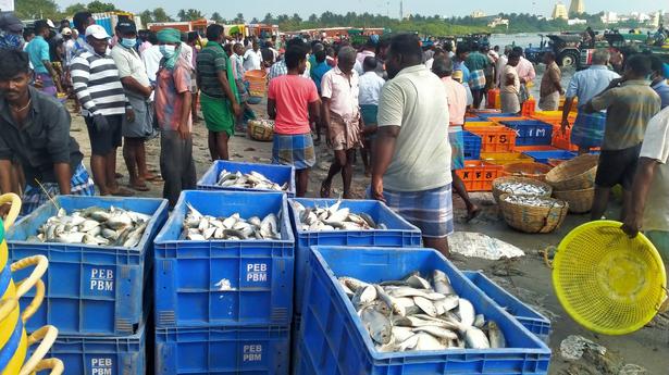Sri Lankan Navy detains 22 fishermen from Nagapattinam and Karaikal