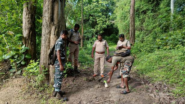 Pre-monsoon animal census begins in Anamalai Tiger Reserve