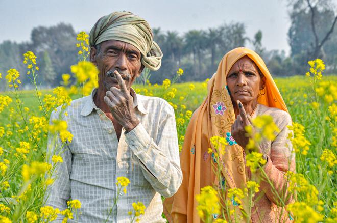 Farmers pose in mustard fields after casting their votes in the second phase of the UP assembly elections, showing their inked fingers. 