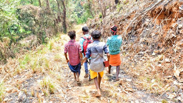 Tribal kids exploited in plantations near Nilambur