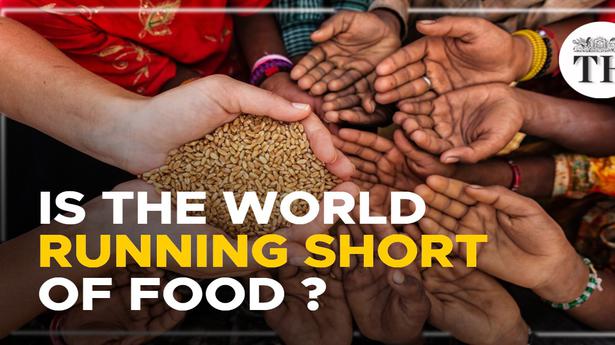 Watch | How serious is the world food crisis?
