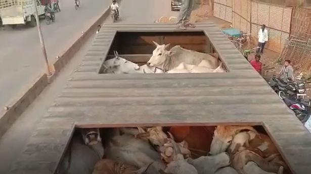 Four held in U.P. after row over alleged illegal cow slaughter