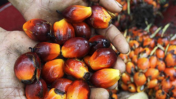 Court reserves order on cases challenging TNCSC’s demand for palm olein at old prices