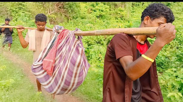 Andhra Pradesh: Lack of roads force tribal people to carry pregnant woman in doli