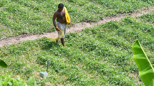 Centre proposes law to control distribution, price, quality of fertilisers