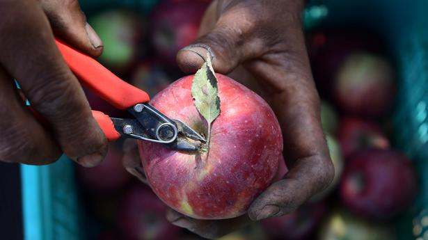 
        Apple farmers meet in Srinagar, urges help to form cooperatives 
    