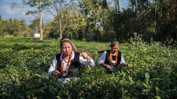 Original tea-makers of India come live through a virtual exhibition on International Tea Day 