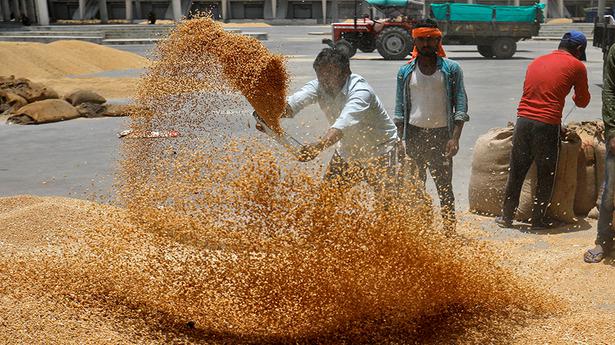 Govt. eases restrictions on wheat export