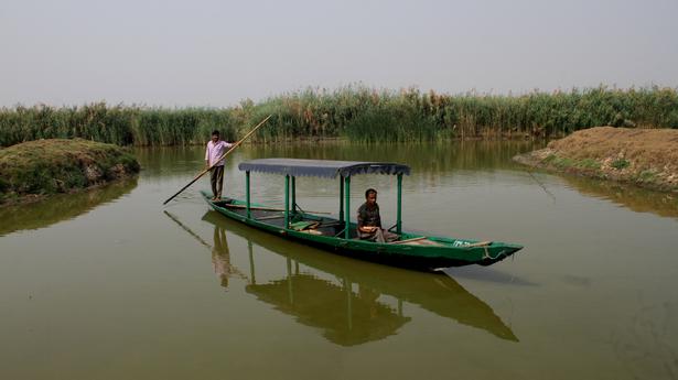 Odisha to restrict mechanised fishing boat movement in scenic Mangalajodi