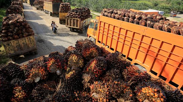 India&#039;s palm oil imports could hit 11-yr low as soyoil rises