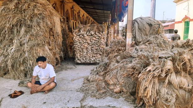 Centre decides to lift price capping on raw jute