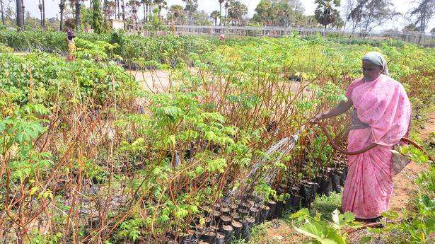 Gene pool to be created for preservation of indigenous plants, spices