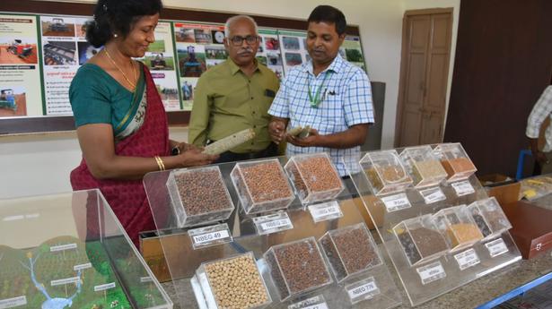 Agri scientist advocates inclusion of millet in PDS