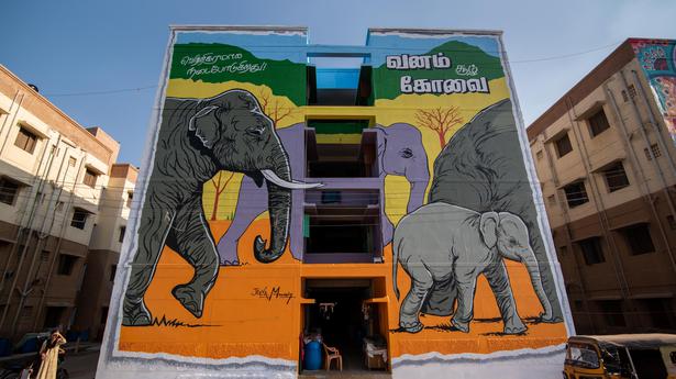 Coimbatore’s public spaces turn a canvas for art