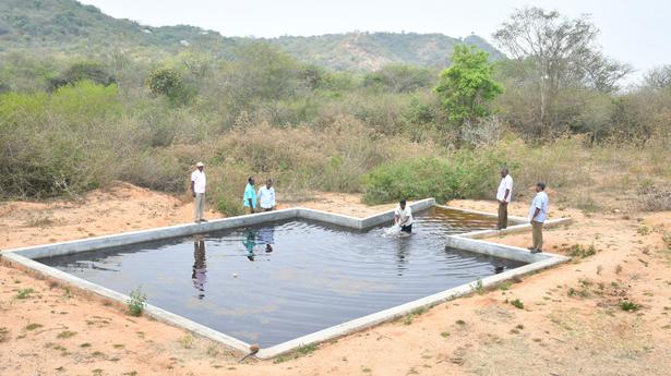 Solar-powered water trough comes up along elephant corridor in Gudiyatham 
