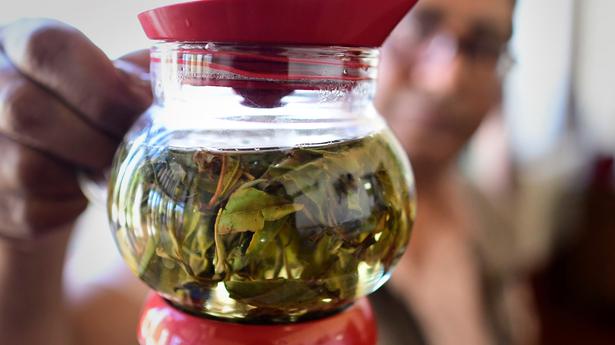 Rare Assam tea sold for ₹1 lakh per kg