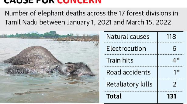 Only 13 out of 131 elephant deaths in over a year in Tamil Nadu were human-induced, says report