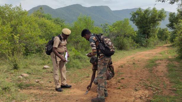 Six-day wildlife monitoring exercise begins in Sathyamangalam Tiger Reserve
