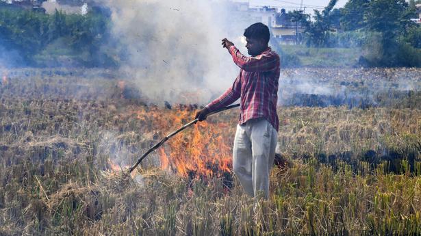 National News: Significant decrease in stubble burning events in Punjab, Haryana and NCR districts of Uttar Pradesh