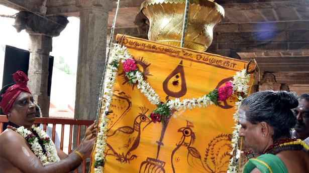 Vaikasi Visakam festival begins in Palani
