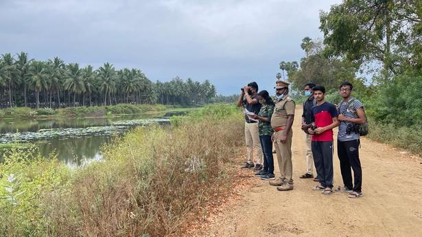 Synchronised bird survey covers 45 inland waterbodies in Coimbatore, Tiruppur districts